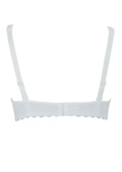 Shop Anita Rosa Faia Scarlett Bra White
